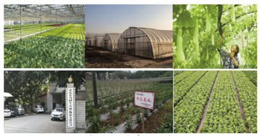 2021071513292494937DB62